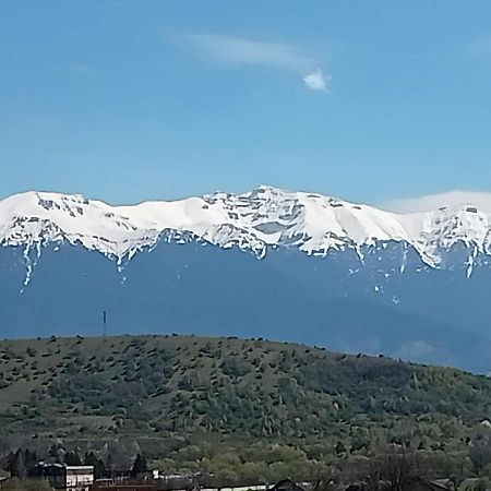 Le Nid D'Adam Appartamento Zărneşti Esterno foto