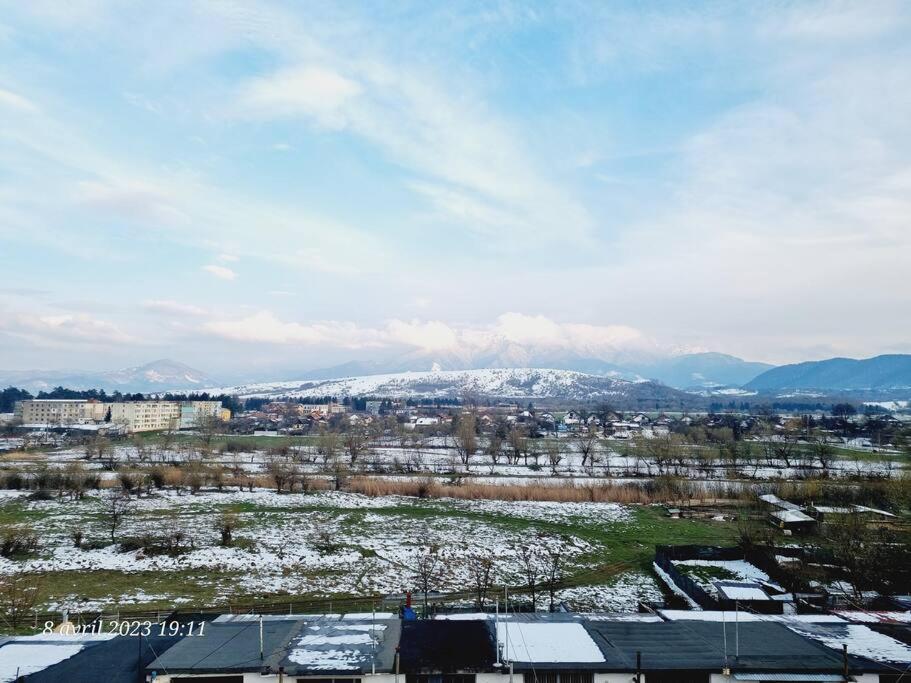 Le Nid D'Adam Appartamento Zărneşti Esterno foto