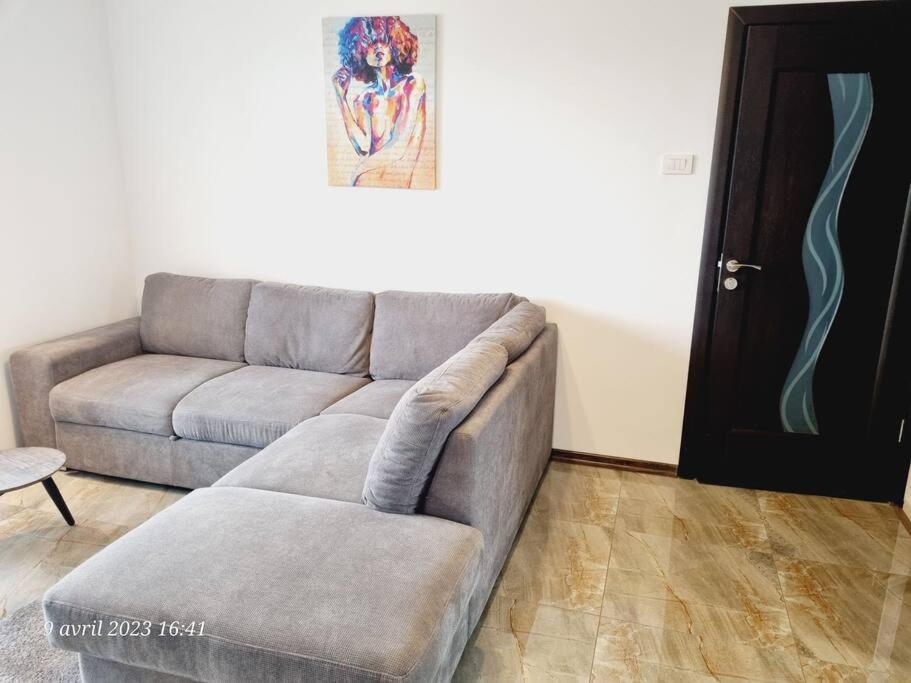 Le Nid D'Adam Appartamento Zărneşti Esterno foto
